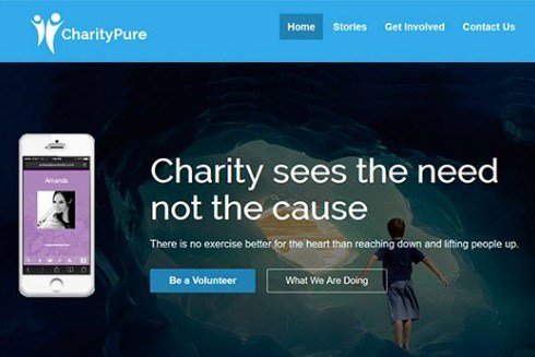 CyberChimps CharityPure WordPress Theme