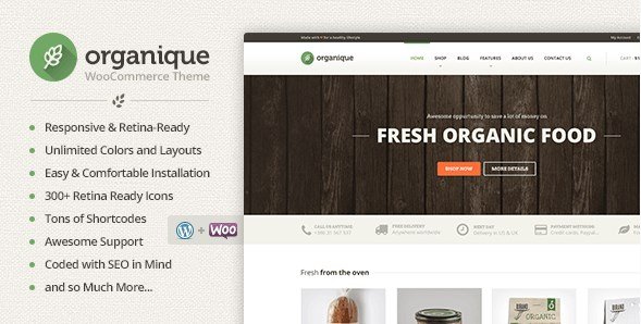 Organique - WordPress Theme For Healthy Food Shop
