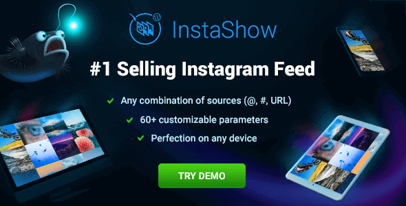 Instashow - Instagram Feed For WordPress