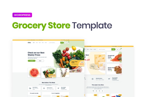 Disho - Grocery Store Elementor Template Kit