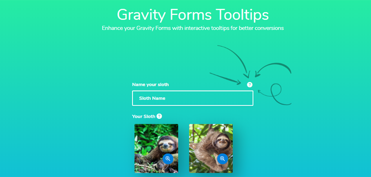Gravity Forms Tooltips Jetsloth