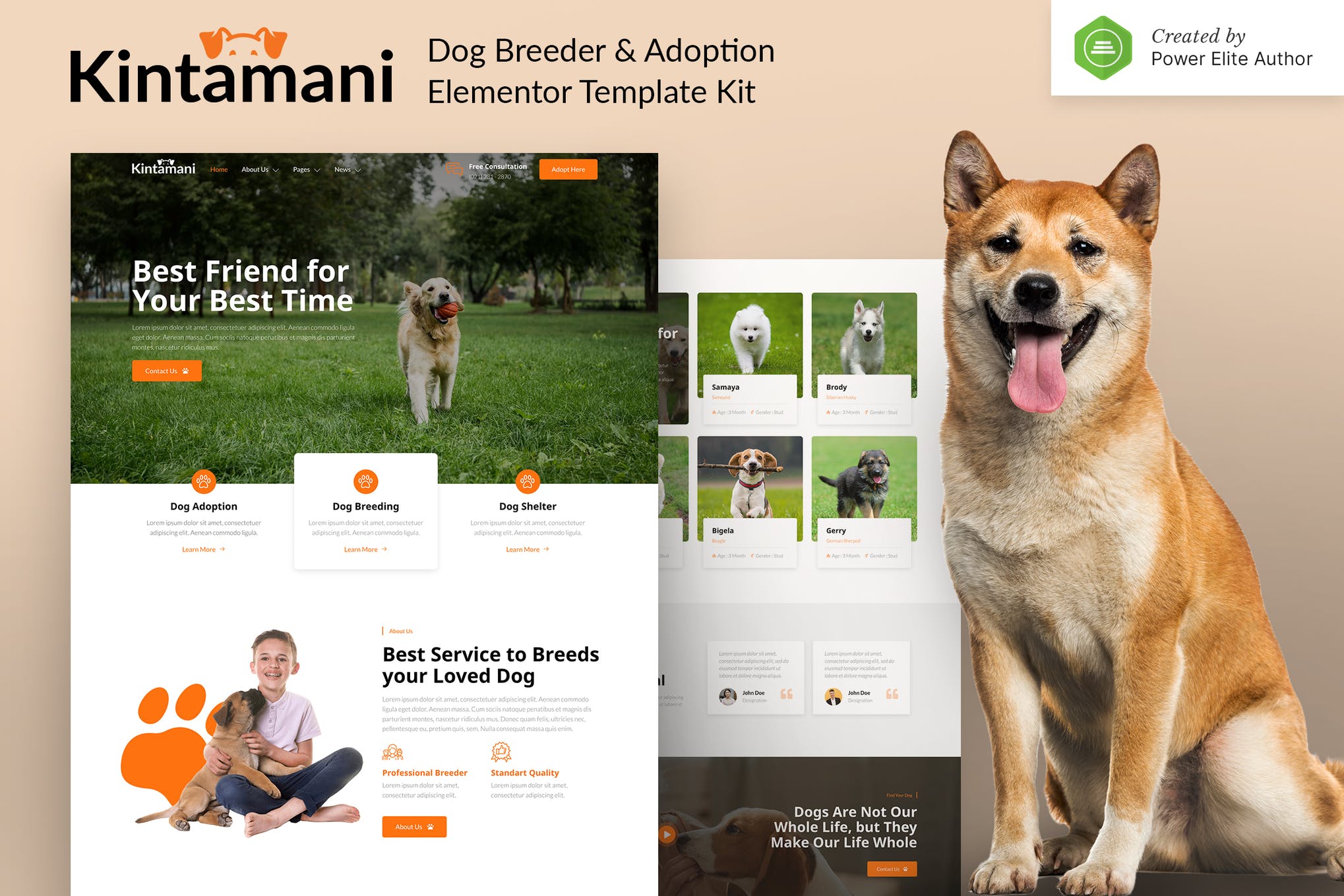 Kintamani - Dog Breeder - Adoption Elementor Template Kit