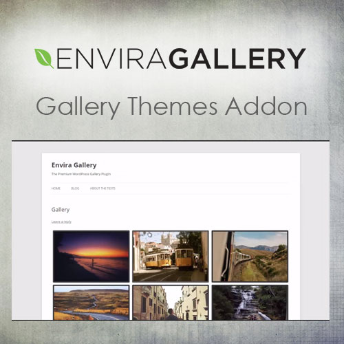 Envira Gallery Gallery Themes Add-On