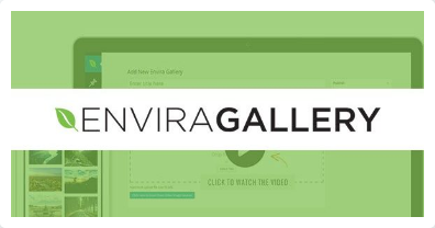Envira Gallerys Addon