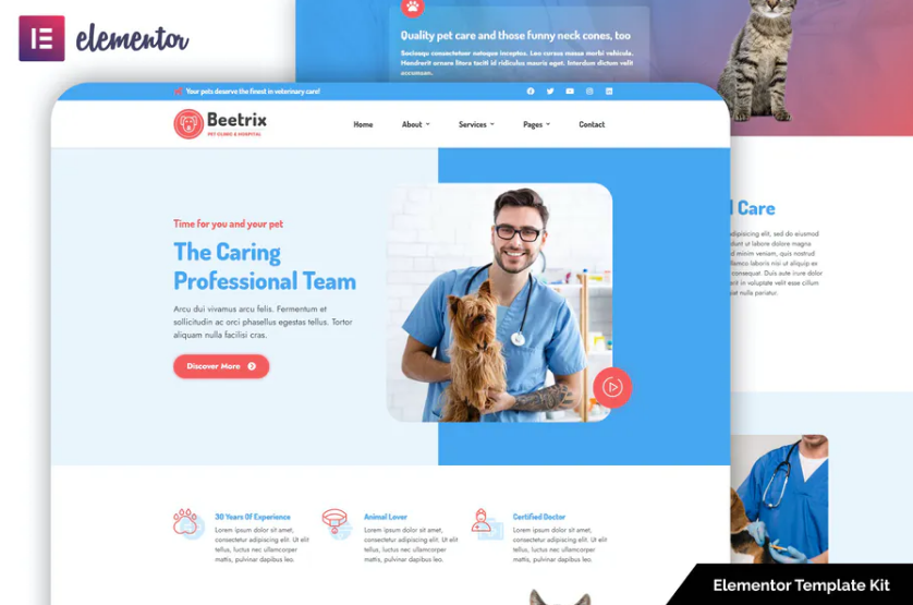 Beetrix - Pet Clinic - Hospital Elementor Template Kit