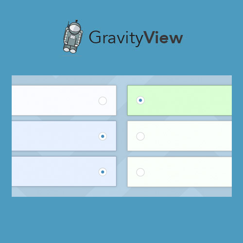 GravityView - Entry Revisions