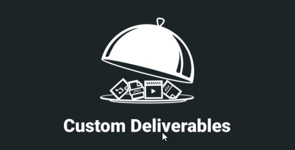 Easy Digitals Custom Deliverables