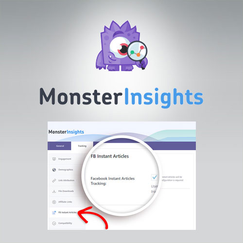 MonsterInsights - Facebook Instant Articles Addon