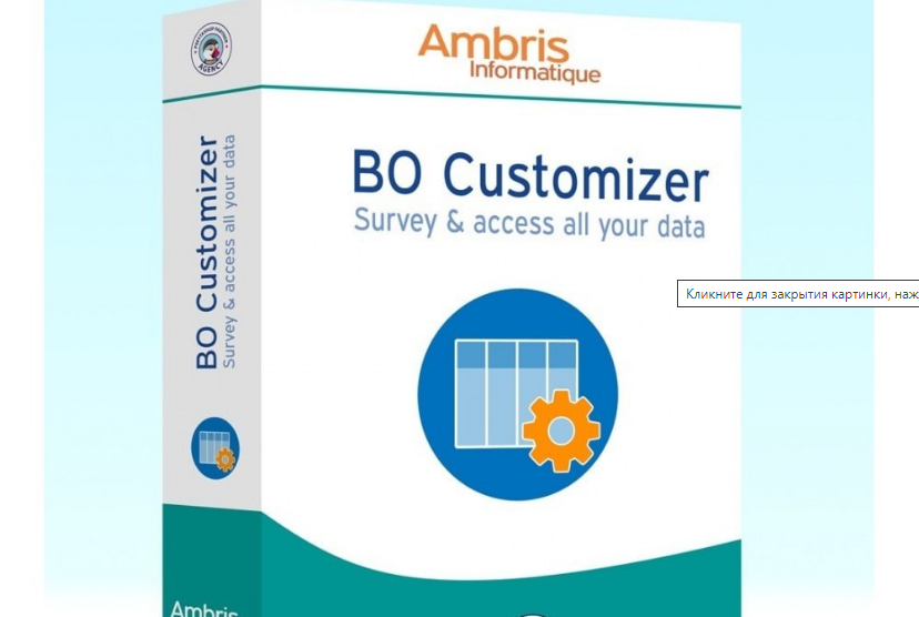 BO Customizer module: survey and access all your data