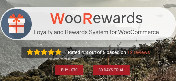 WooRewards Pro - Loyalty and Rewards program for WooCommerce