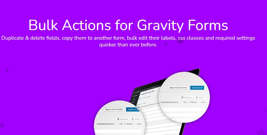 Bulk Actions Pro for Gravity Forms