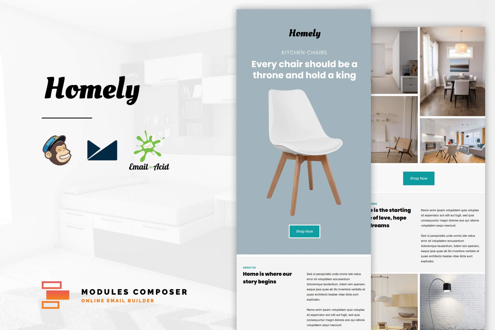 Homely - E-Commerce Responsive Email Template
