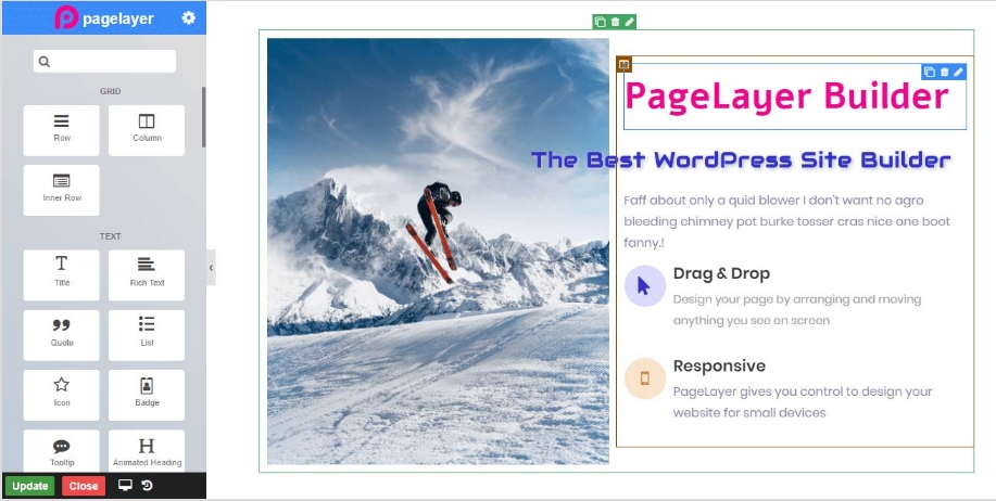Pagelayer Pro - Best WordPress Page Builder