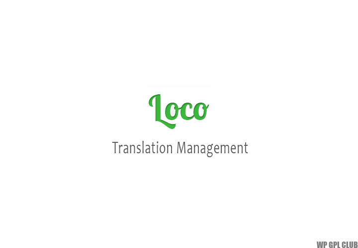 Loco Translate Automatic Addon