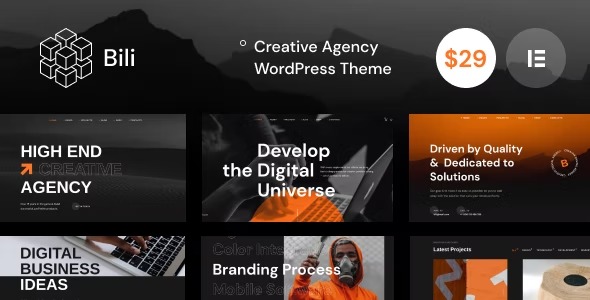 Bili Creative Agency WordPress Theme [Activated]