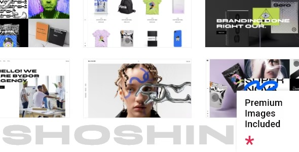 Shoshin Digital Agency Theme