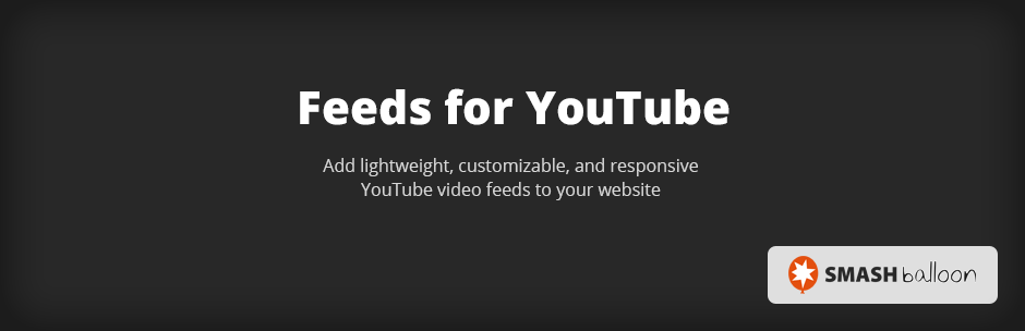 Feeds for YouTube Pro By Smash Balloon [Developer Edition]