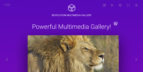 Revolution Multimedia Gallery WordPress Plugin