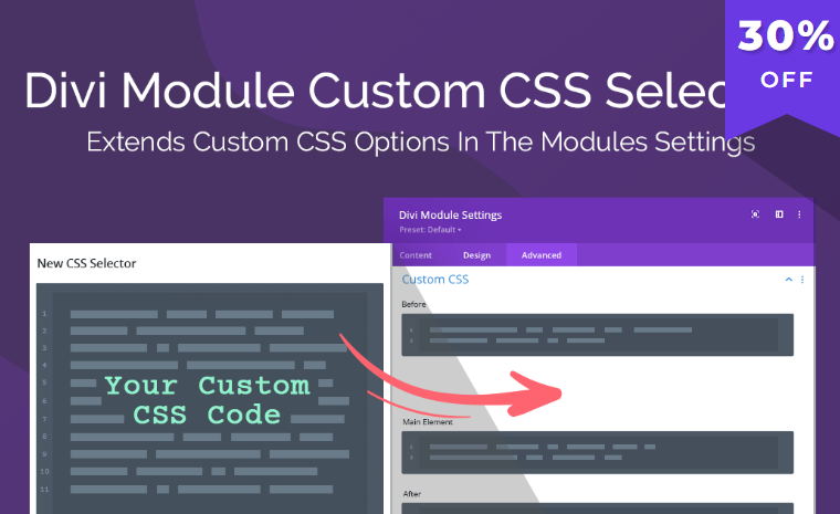 Divi Module Custom CSS Selectors [Wpzone]