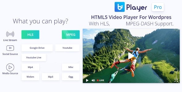 bzplayer Pro Live Streaming Player WordPress Plugin