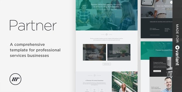 Partner Accounting and Law Responsive WordPress Theme