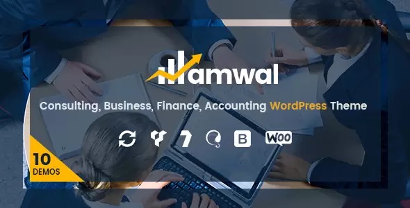 Amwal Consulting Finance WordPress Theme
