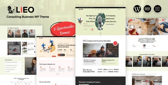 LIEO Consulting Theme