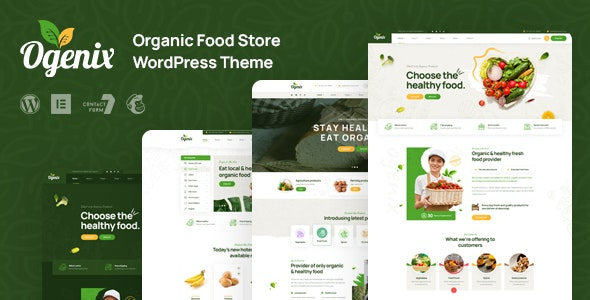 Ogenix - Organic Food Store WordPress Theme