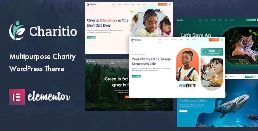 Charitio Multipurpose Charity WordPress Theme