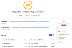 News Theme PageSpeed Insights Mobile Test
