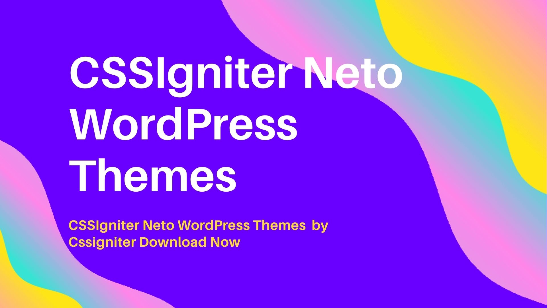 CSSIgniter Neto WordPress Themes